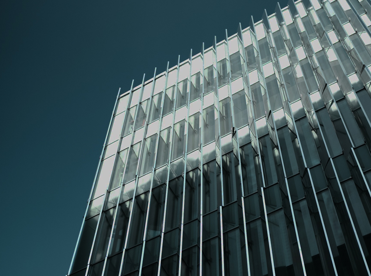 From Partner to Leader: How White Label Providers Help Brokers Build Trust and Brand Recognition