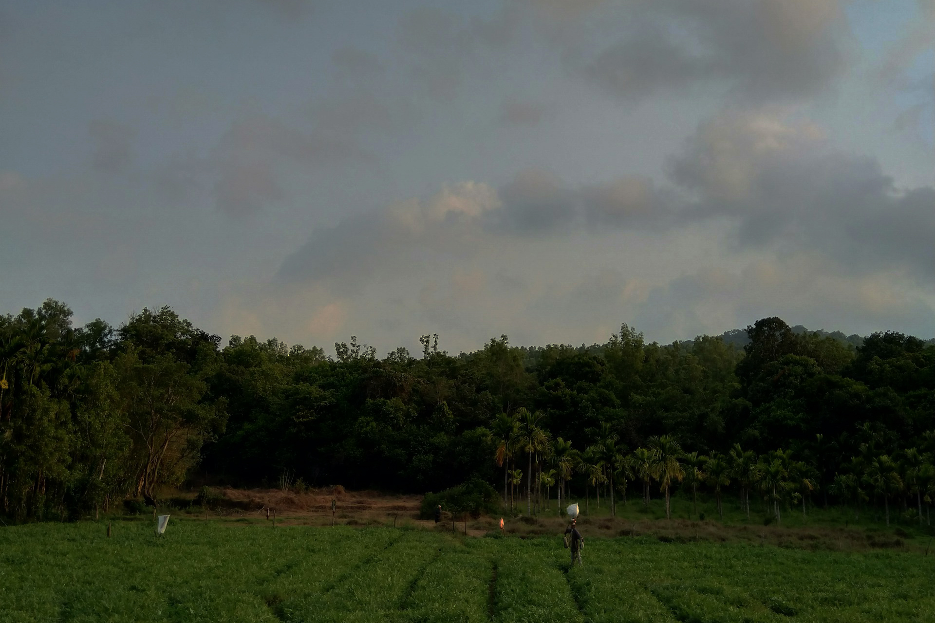 US-India Trade Deal at Risk: 5 Major Obstacles That Could Derail the $500B Agreement US-India Trade Deal at Risk: 5 Major Obstacles That Could Derail the $500B Agreement