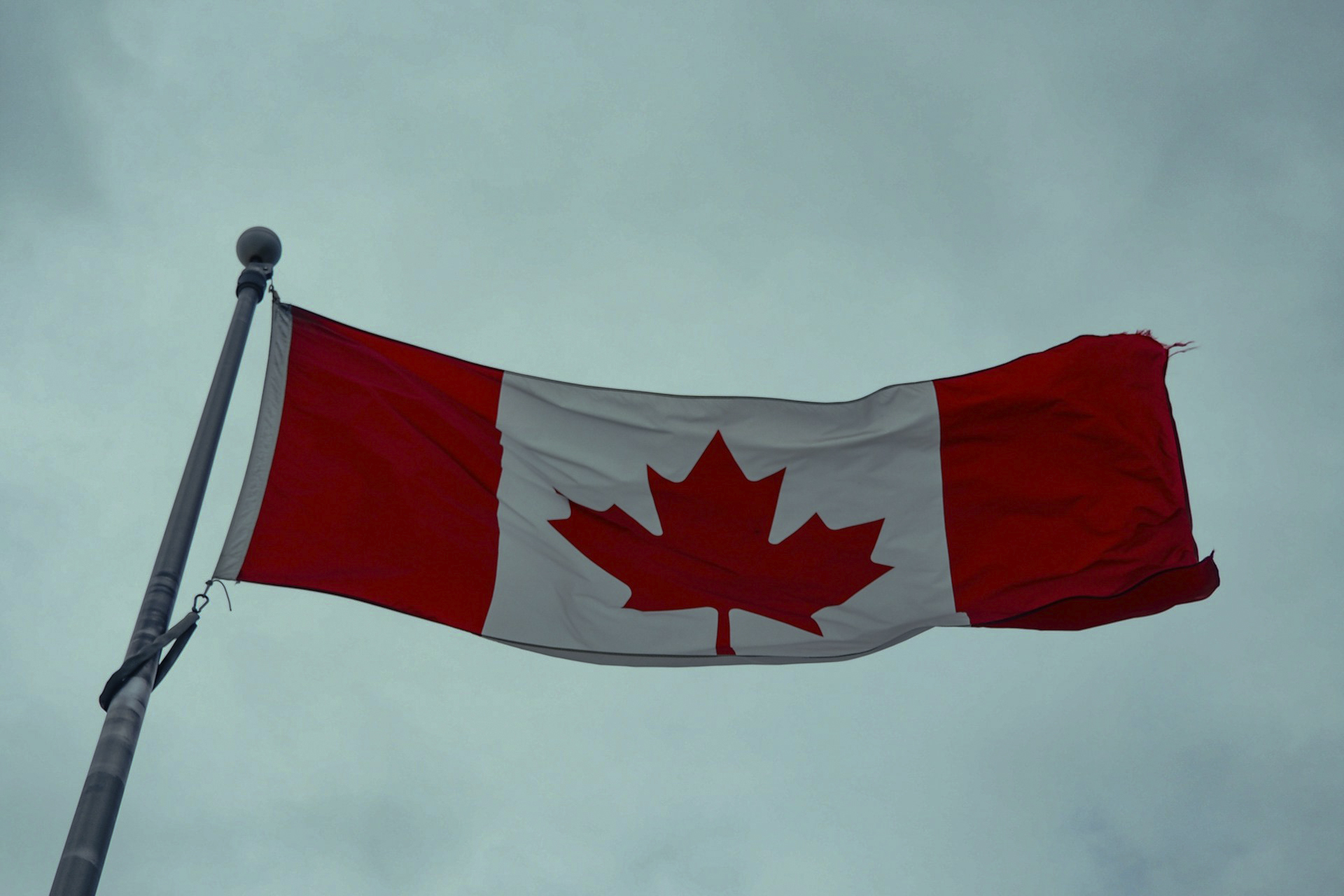 House Votes to Override Trump’s Canada Tariffs: What It Means for U.S.–Canada Trade and Political Risk House Votes to Override Trump’s Canada Tariffs: What It Means for U.S.–Canada Trade and Political Risk