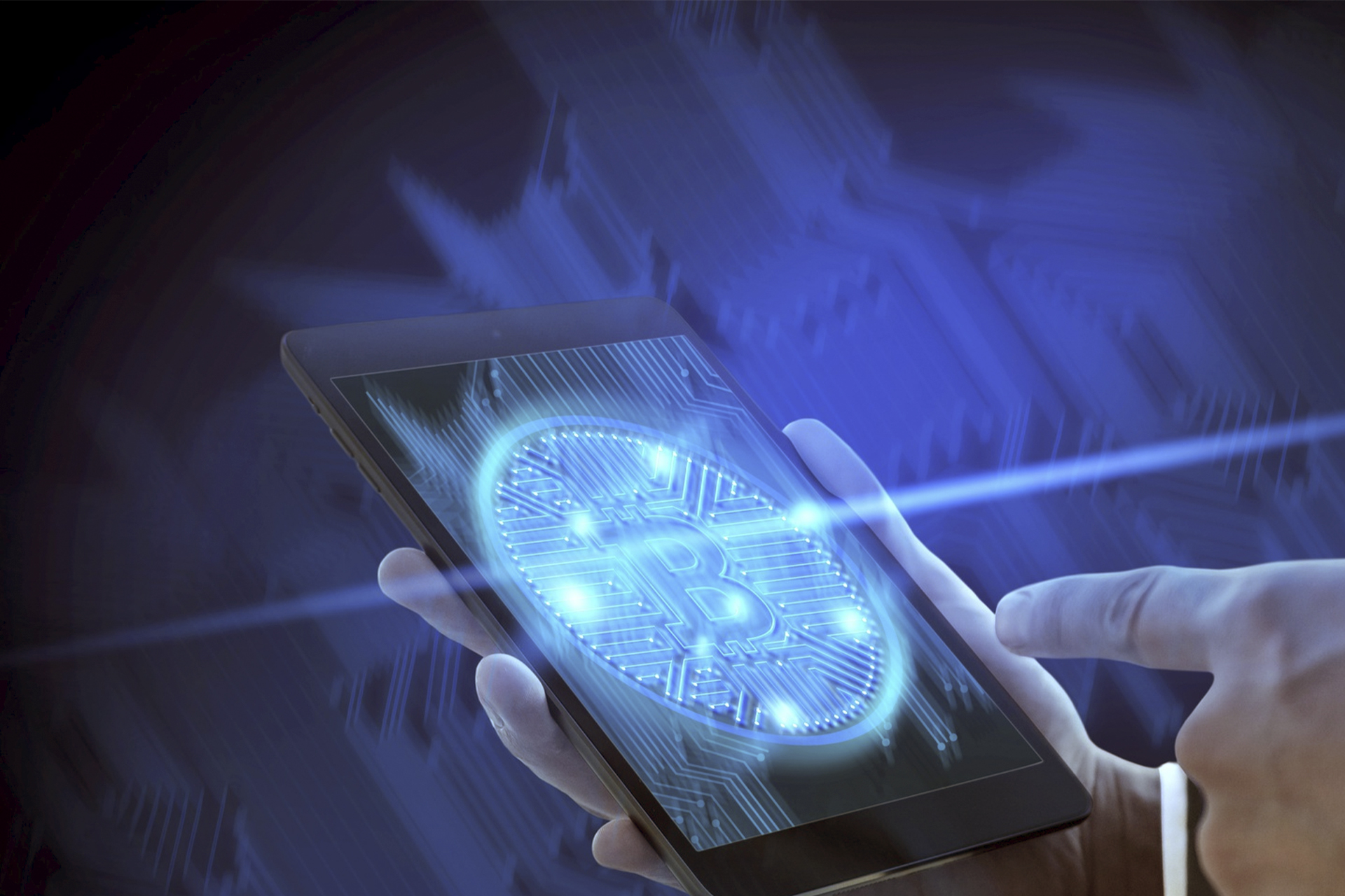 Transparency 2.0: How Blockchain Integration in MAM Systems Makes Investor Reports Immutable