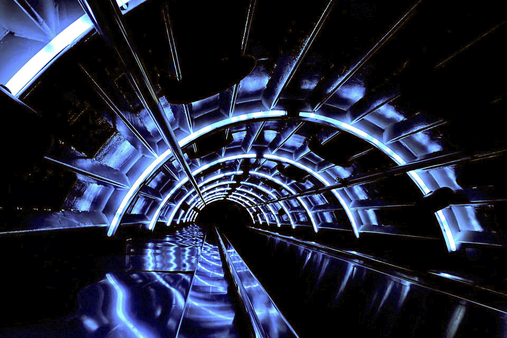 White-Label MT4/MT5 with Privacy-First Infrastructure: How Fast Forex VPS Accelerates Compliant Broker Launch in 2026