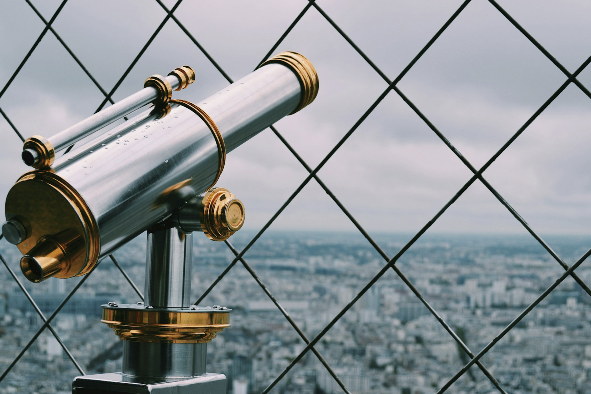 White Label MT5 vs MT4: Which Is Better in 2026?